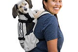 k9-sport-sack-air-2-dog-backpack-grey-small-1