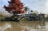 Argentine Asado in the Tigre Delta