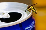 Ternary, Predicate, and Pattern Matching for FizzBuzz with Java 26