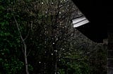 The Darkness That Dissipates