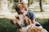 Dog and boy together