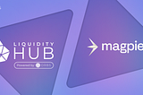 新ソルバー、Magpie紹介！