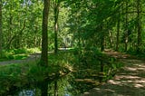 My River Path in Japan