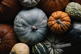 How to Grow Pumpkins