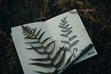 Etymology in ‘The Overstory’