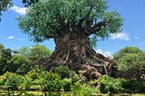 The Five Word Secret Disney Uses to Create Magic and How You Can Too