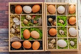 What Is an Incubator? A Complete Guide for Impact Startups