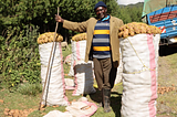 GOALAN Success Endures: Farmers in Nyandarua Thrive a Year On