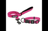 voyager-reflective-dog-leash-collar-set-with-neoprene-handle-supports-small-medium-and-large-breed-p-1