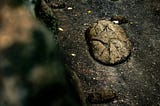 Mental Health’s Dirtiest Secret: Rock Bottom’s the Remix