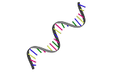 Number 1 Scientific Breakthrough of 2020: The mRNA Vaccine