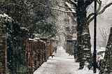 The photo captures a part of London in winter. Grey slush and fresh snow covers the footpath, the road, and the branches of the trees. There are parked cars by a bus stop. In the distance, only two people stand and appear chatting. It’s snowing and there is a tall tree standing proudly covered by the fresh snow.
