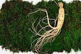 Making Room for Your Roots to Deepen: A Call for Inner Stillness Amidst the Sizzle