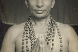 Famous Educator Yogis through the Chakras
