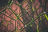 A Primer in Graph Theory with Python