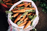 sack of fresh carrots