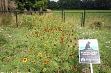 Habitat Enhancement and Environmental Education Reaps Rewards — North Carolina Wildlife Federation