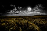 Full moon shining on a field