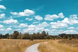 path through field of golden grass with green trees in background, all under blue sky with puffy white clouds