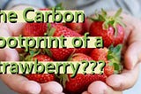 The Carbon Footprint of a Strawberry