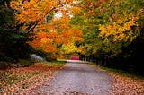 In the Third October
