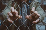 Adult hands clutching at a chain link fence.
