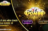 Link Chính Chủ Dom88 — Vì Sao Nên Chơi Cá Cược Dom88 ⁉️