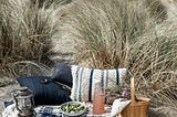 Picnic in the seaside dunes