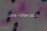 Love + Stem Cells