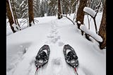 MSR-Evo-Trail-Snowshoes-Charcoal-1