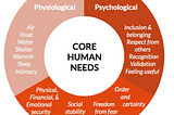 “VITAL CORE” -Common Human Needs and how can it be protected by the international community?”