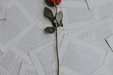 A single rose laying on a pile of book papers, which captured the beauty and sorrow of love.