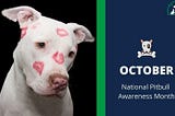 October is National Pitbull Awareness Month: Busting the Myths