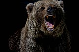 Running an Agency Business is Like Being Chased by a Bear