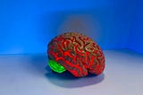 What Brain-Adapter Gets Right About Multimodal AI