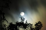 An image of the bright full moon with some silhouetted trees in the foreground