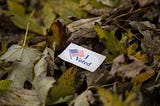 Americans Don’t Understand What Voting is For