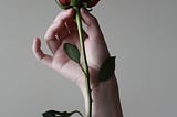 Understanding Pain — 3 Reflections to Navigate a Pain-Full World