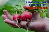 5 Amazing Health Benefits of Beetroots, Study by Nutritionists | Health-a-Plenty