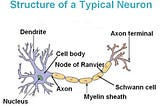 Start Deep Learning with Keras