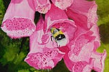 A bee in a foxglove bloom