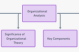 Decoding the Essence of Organizational Analysis: A Deep Dive — Part 1