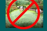 Why You Can’t Use Algae From Your Pond As Fertilizer