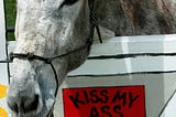 a donkey
