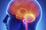 Ketones Key to Brain Health: New data confirm protective effect