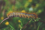 Debugging your code in Python — pdb vs. rpdb