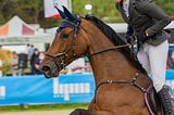 Image of a horse and rider in a equestrian competition.