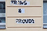 The Power of Defiance in the Age of Trans Bans