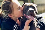 Why Pit Bulls Are The Best