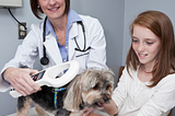 Microchipping 101: Why You Should Get Your Pet Microchipped